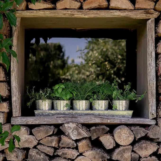 SCANDINORDICA Galvanized Metal Herb Planter, 5 Pots with Drainage Holes, Indoor Outdoor Use, Farmhouse Decor, 19.5x3.9x3.5 inches by GreenHaven Gardens