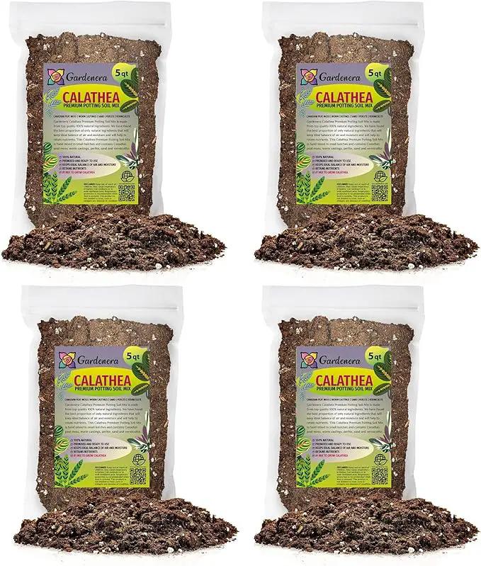 Calathea Potting Mix - Unlock Robust Growth and Striking Leaf Patterns with Our High-Performance Formula - 20 Quart by GreenHaven Gardens
