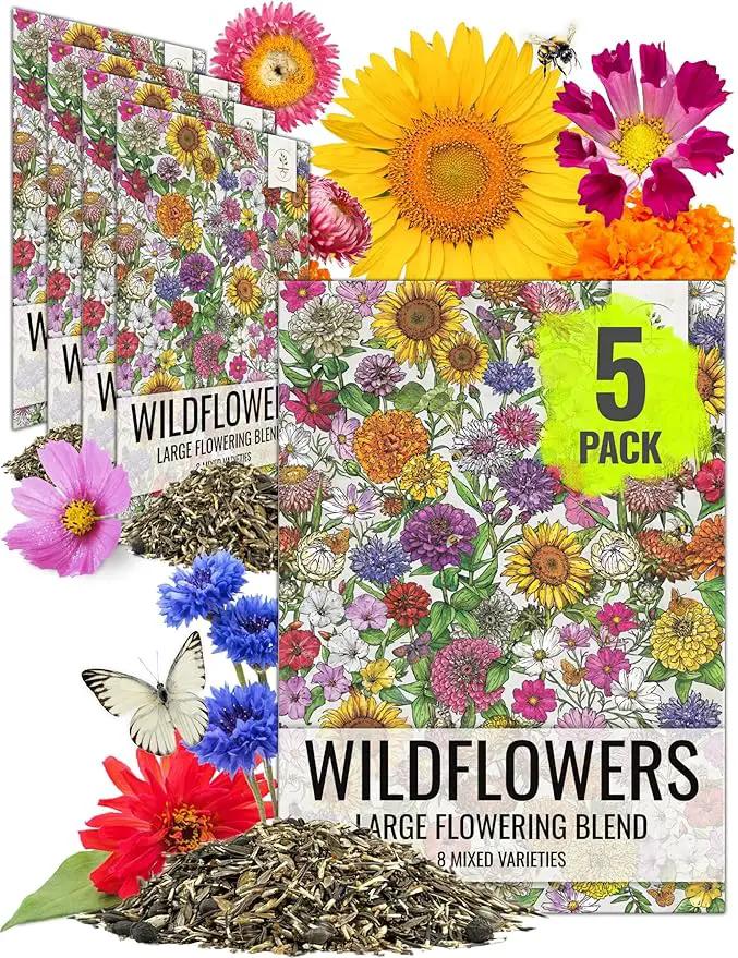 Seed Needs Garden Flower Seeds Large Blooms Mix Hummingbird and Butterfly | 5 Packs (1 Ounce Each) No Filler 7 Varieties Open Pollinated | Resealable Package Live Wild Flower Seed | Bulk by GreenHaven Gardens