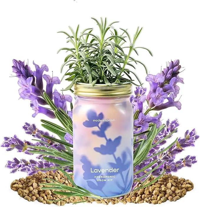 Modern Sprout Mason Garden Jar - Self-Watering Hydroponics Growing System Kit with Organic Herb Seeds - Jar Planter for Indoor Herb Garden - Seed Starter Kit - Home Decor & Gifting - Lavender by GreenHaven Gardens