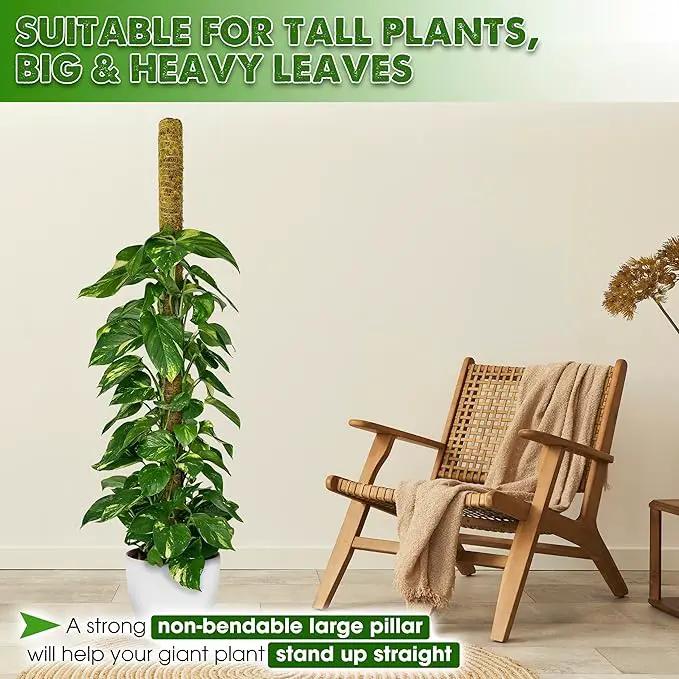 DUSPRO 59 Inches Non-Bendable Pole for Big Plants, Large Moss Pole for Plants Monstera, Plant Stakes for Indoor Plants, Monstera Plant Support, Plant Pole for Big Climbing Plants Indoor (1pc., 59'') by GreenHaven Gardens