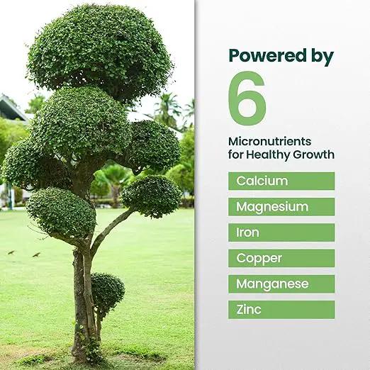 16oz Tree and Shrub Plant Food - Makes 16 Gallons of Tree and Shrub Fertilizer, Liquid Plant Fertilizer for Healthy Roots, Foliage & Year-Round Growth, Nutrient-Rich Formula for All Trees & Shrubs by GreenHaven Gardens