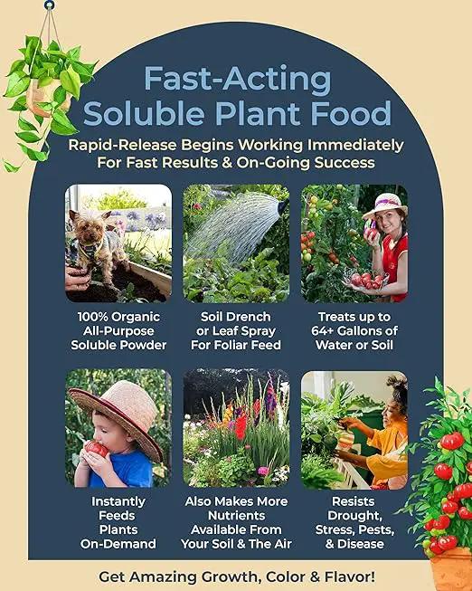 Organic Plant Magic - Truly Organic™ Fast-Acting Soluble Plant Food: All-Purpose Fertilizer Concentrate for All Flower Vegetable Herb Fruit Tree Shrub Container Garden & House Plants [One 1 lb Bag] by GreenHaven Gardens