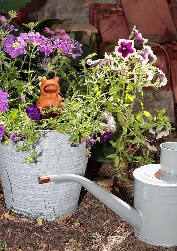Terracotta Plant Self Watering Spikes - Set of 3 Terracotta Self Watering Bulbs, Self Watering Stakes, Self Watering Globes for Pot Plants (Frogs Plain, Large) by GreenHaven Gardens