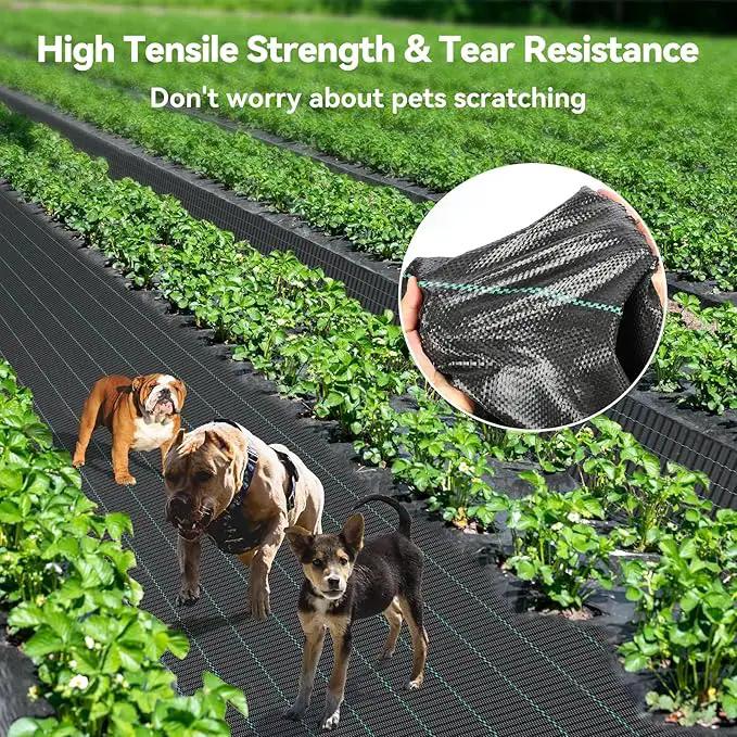 3ftx100ft Weed Barrier Landscape 3.2oz Fabric Heavy Duty, Woven Weed Control Cloth, Woven Geotextile Fabric for Underlayment, Gardening Ground, Commercial Driveway Weed Block Cover Mat by GreenHaven Gardens