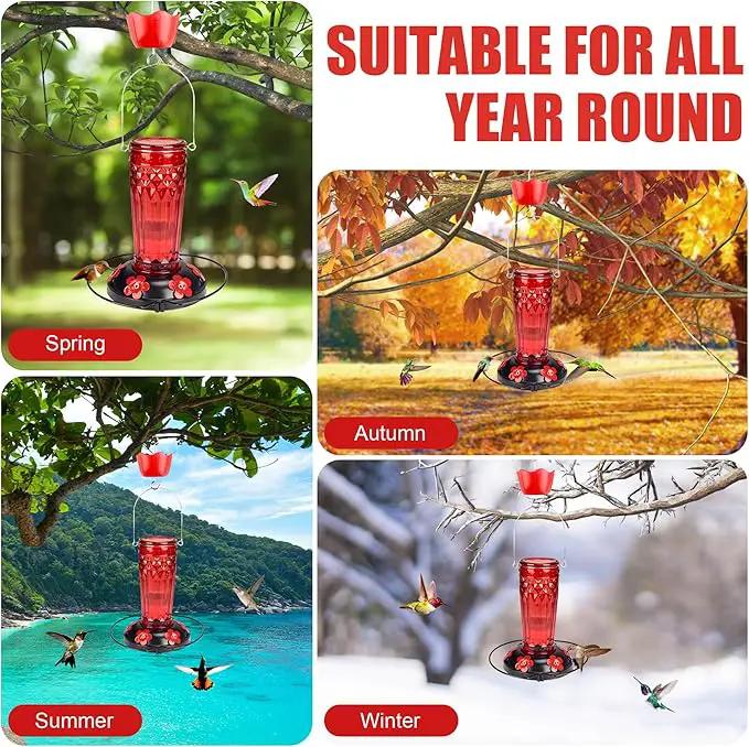 Hummingbird Feeder-16 Ounces，6 Feeding Ports Glass Hummingbird feeders for Outdoors,Wide Mouth for Easy Filling/Cleaning，Hanging for Garden Backyard Decor, Includes Ant Moat (Red) by GreenHaven Gardens