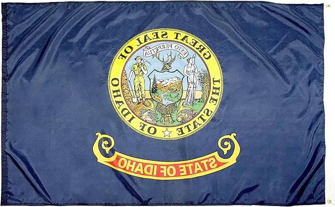 FlagSource Idaho Nylon State Flag, Made in USA, 4x6' by GreenHaven Gardens