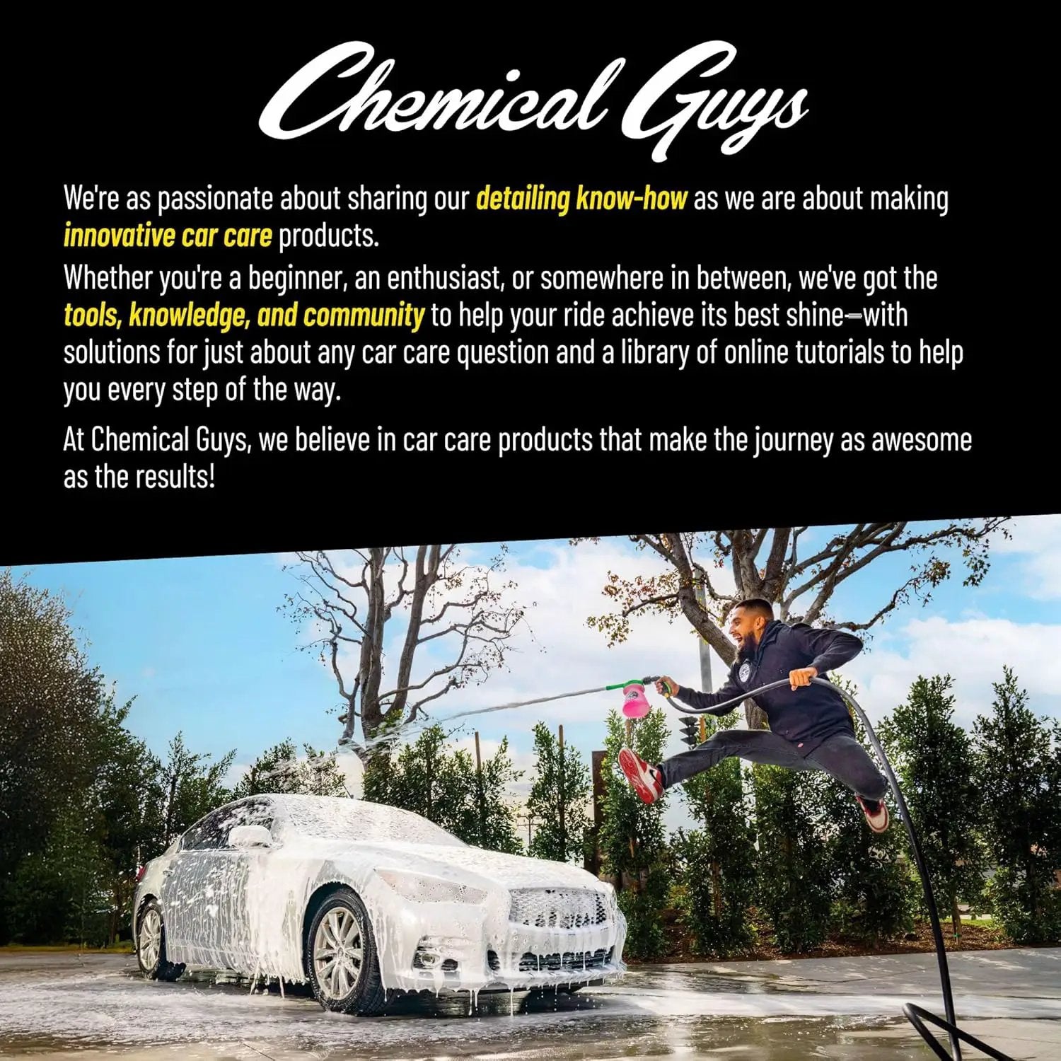 Chemical Guys Hex-Logic Finishing Pad Black (6.5 Inch) (3 Pack) – Ultra Soft Foam Pads for Wax, Sealant & Glaze Application On Large Panels by GreenHaven Gardens