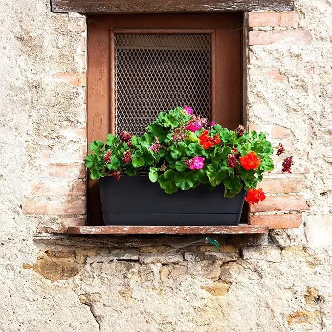 GREANER 6 Pack Herb Planters, 12x3.8 Inch Black Rectangle Window Boxes with Tray, Indoor Succulent Cactus Mint Plastic Pot for Windowsill, Balcony, Office, Outdoor Garden by GreenHaven Gardens