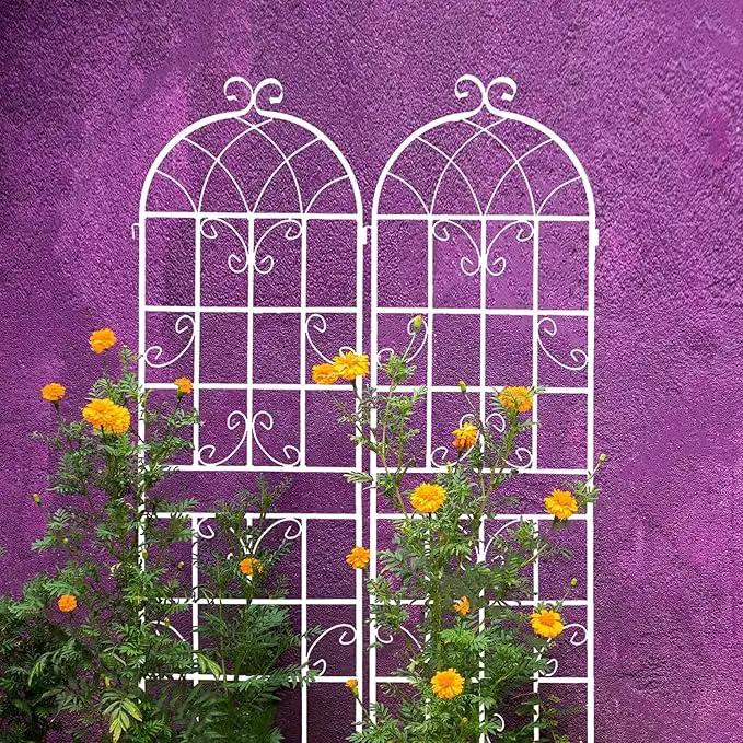 Metal Garden Trellis Rustproof Trellis for Climbing Plants Outdoor Flower Support Butterfly Deco (Cream White-2 Pack, 71"x19.7") by GreenHaven Gardens