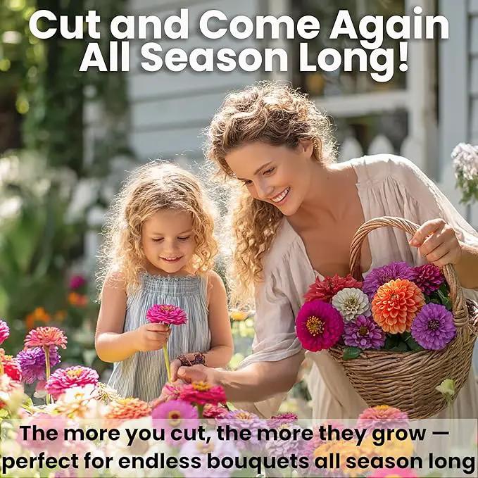 NatureZ Edge Zinnia Seeds for 2025 Planting Outdoors, Over 550 Flower Seeds, 4g, Non GMO Made in USA, Bulk Semillas De Flores para Sembrar, Dahlia Mix, Easy to Grow Zinnia Seed Mix by GreenHaven Gardens
