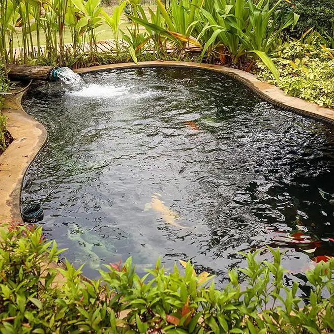 20 x 20 FT Pond Liner, 20 Mil Fish Pond Liner Pond HDPE Liner, Pond Liners for Outdoor Ponds, Koi Ponds, Garden Fountain, Waterfall by GreenHaven Gardens