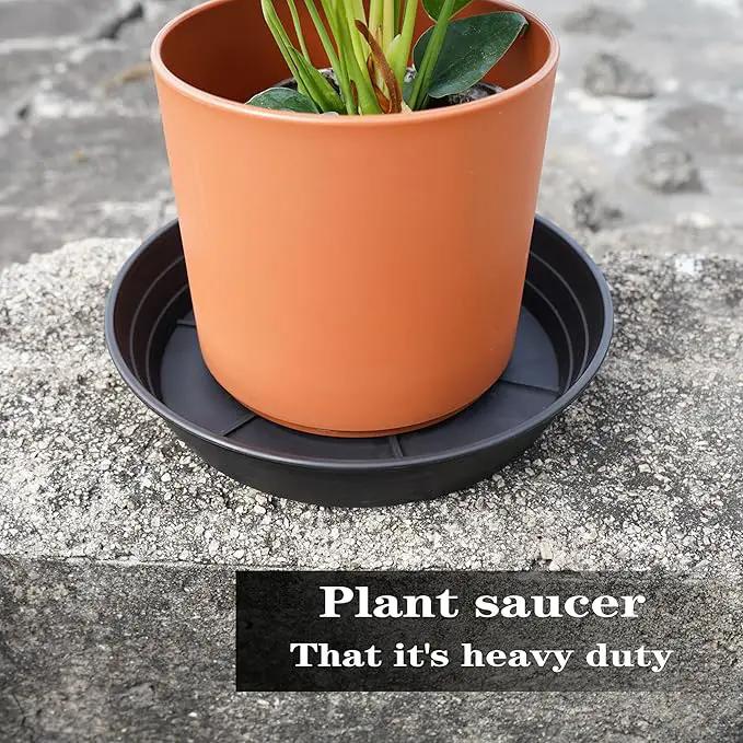 4 Packs 8 Inches Plant Saucer Drip Trays, Round Plastic Plant Pot Saucers Flower Pot Tray for Indoor Outdoor by GreenHaven Gardens