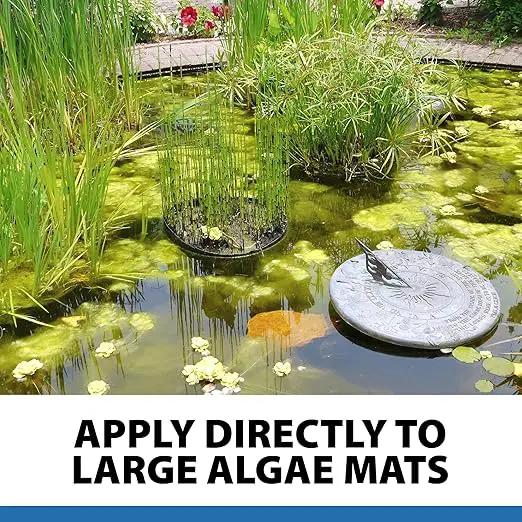 CrystalClear AlgaeOff Pond & Water Garden Scum Cleaner, Waterfall & Rock Slime Remover, String Algae Killer, Green Stain Treatment, EPA Registered Algaecide, Plant, Koi Fish, Bird & Pet Safe, 25 lbs by GreenHaven Gardens