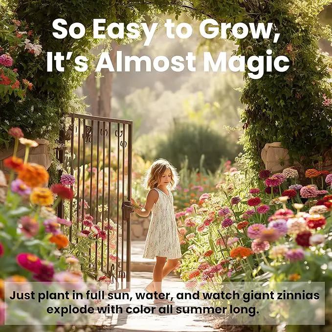 NatureZ Edge Zinnia Seeds for 2025 Planting Outdoors, Over 8250 Flower Seeds, 2 Oz, Non GMO Made in USA, Bulk Semillas De Flores para Sembrar, California Giants, Easy to Grow Zinnia Seed Mix by GreenHaven Gardens