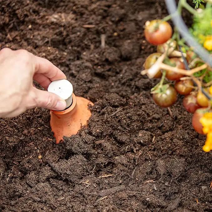 Back to the Roots Self-Watering Terracotta Olla Pot (Pack of 3), 700mL Provides 1 Week of Precision Watering by GreenHaven Gardens