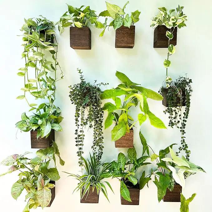 LaLaGreen Indoor Planter Box for Plants (12 Pack, 4x4 Inch) Small Square Wooden Wall Mounted Planters Wood Window Boxes Hanging Flower Pot Plant Holder Outdoor Herb Modern Vertical Garden Home Decor by GreenHaven Gardens