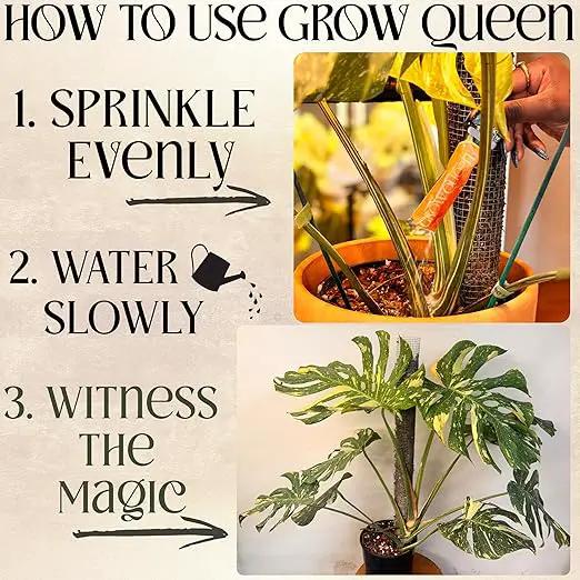 All-in-One Complete Organic Plant Food, Indoor Plant Food for Houseplants, Organic Fertilizer for Vegetable Gardens, 7 Formulated Single Servings Feeds 14 gal Fast and Slow Release by GreenHaven Gardens