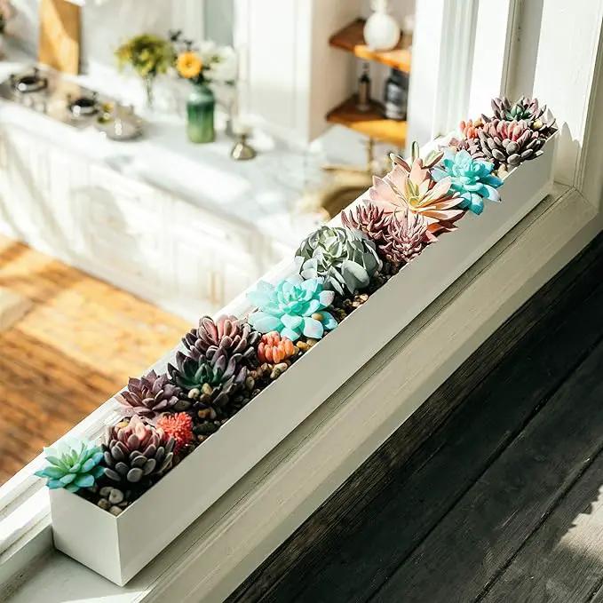 DR&Co Modern Rectangle Planter Box - 32" Metal Planter Ideal for Long Succulent, Rectangular Box for Table or Window Sill, Trough for Indoor Window, White by GreenHaven Gardens