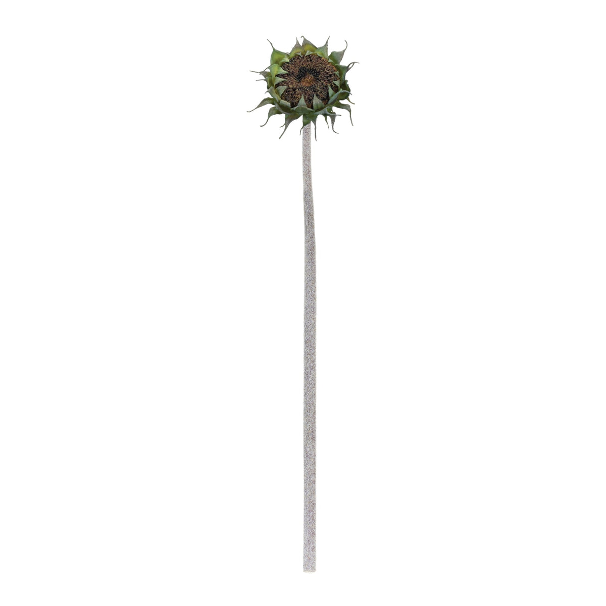 Brown Sunflower Stem (Set of 6), photo 2 of 2