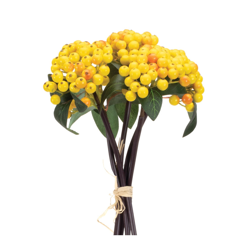 Yellow berry bundle (set of 2)