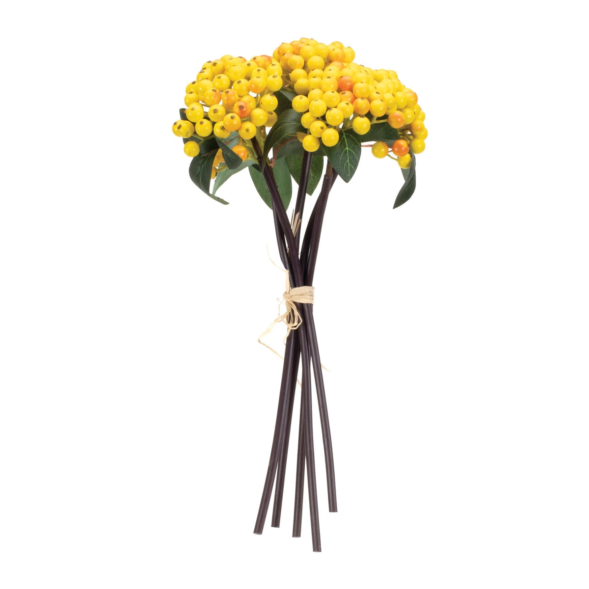 Yellow berry bundle (set of 2), photo 2 of 3