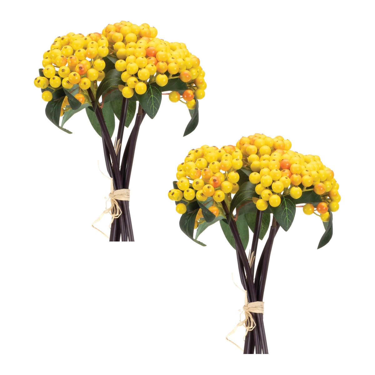 Yellow berry bundle (set of 2), photo 3 of 3