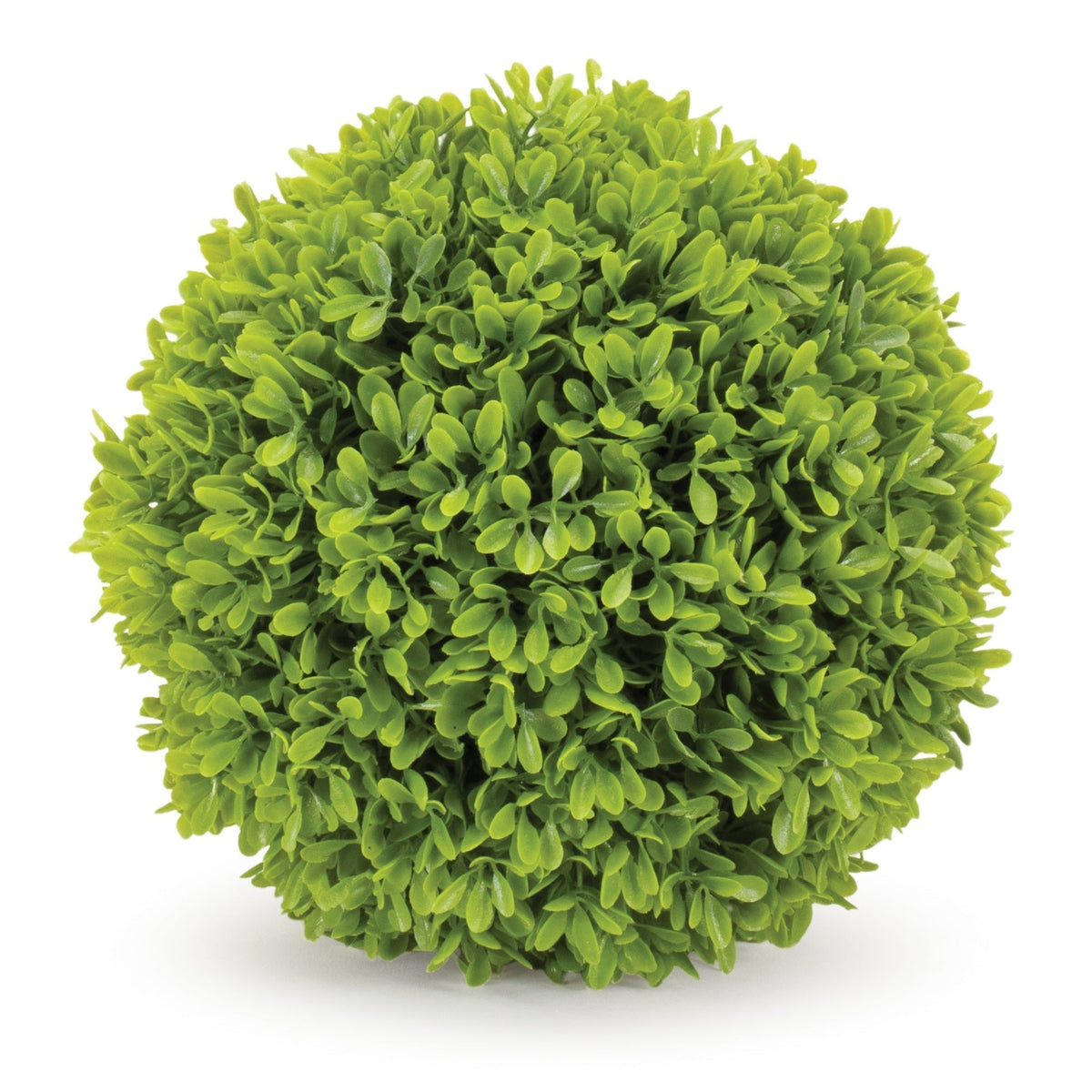 Boxwood Foliage Orb Set of 2