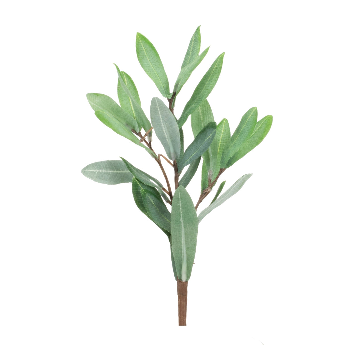Olive leaf foliage pick (set of 12)