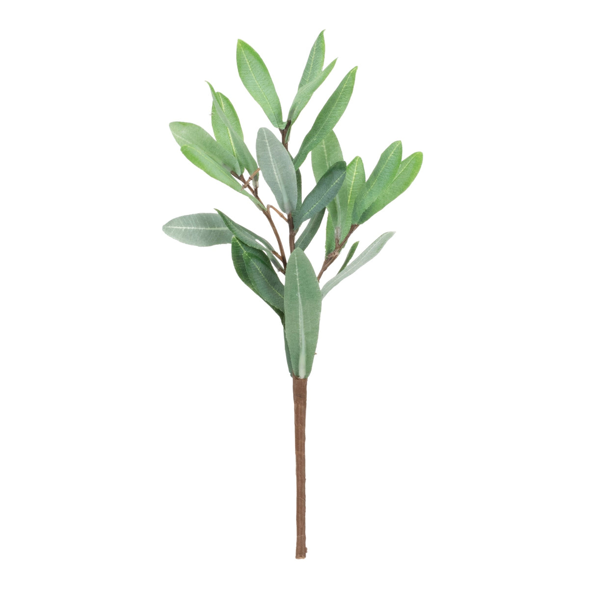 Olive leaf foliage pick (set of 12), photo 2 of 2