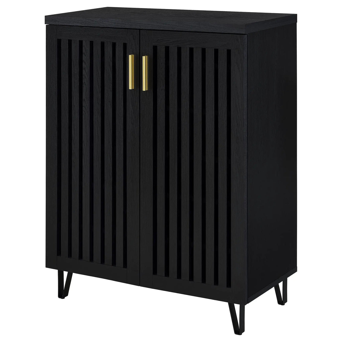 Clackamas - 2 Door Storage Cabinet With Adjustable Shelves by HouseOfZazla