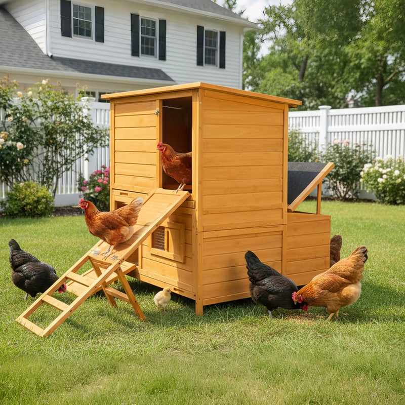 Double-House Wooden Chicken Coop for 6-8 Chickens by HouseOfZazla
