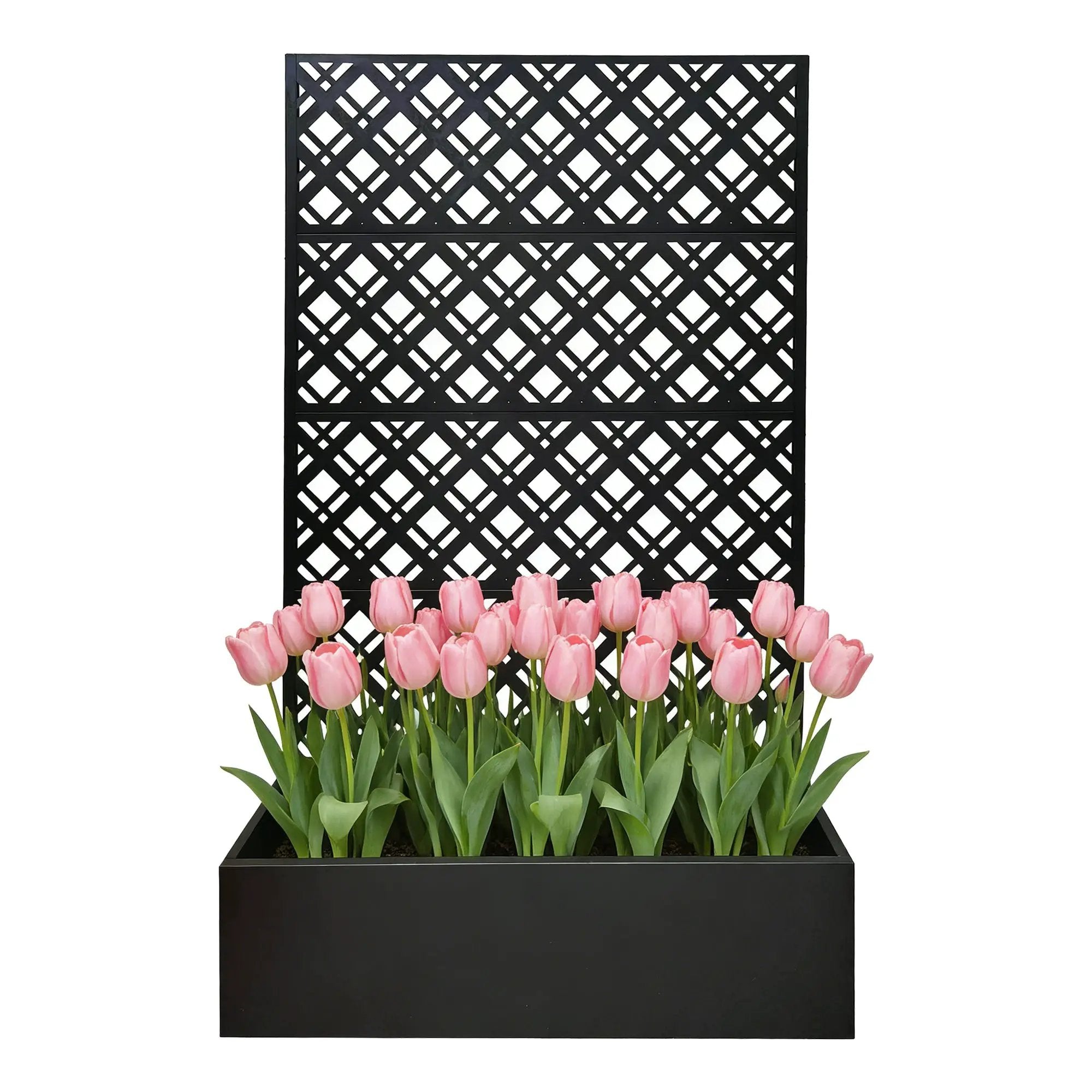 Metal Planter Raised Garden Bed with Trellis by HouseOfZazla