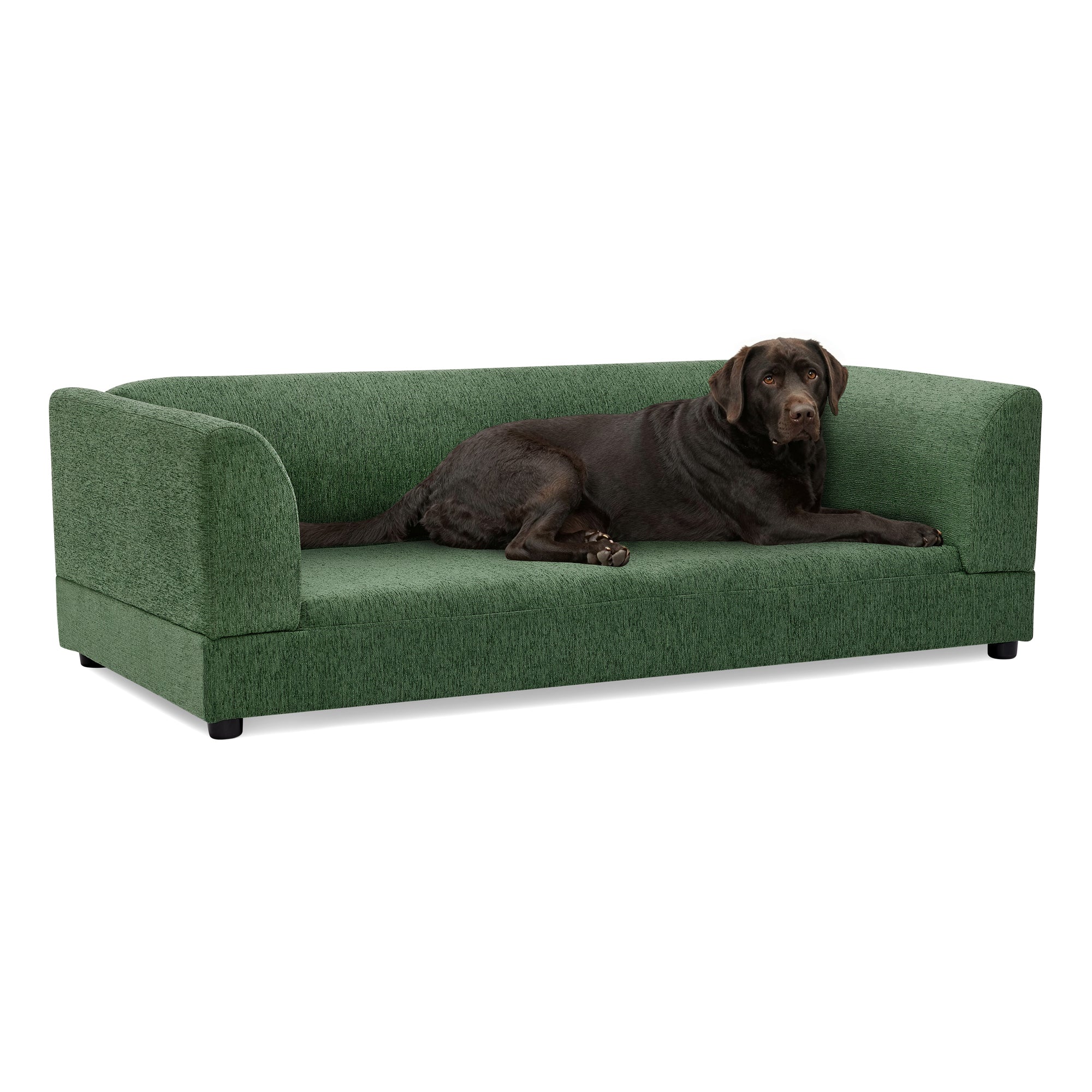 Comfortable Oversized Pet Sofa for Medium/Large Dogs by HouseOfZazla