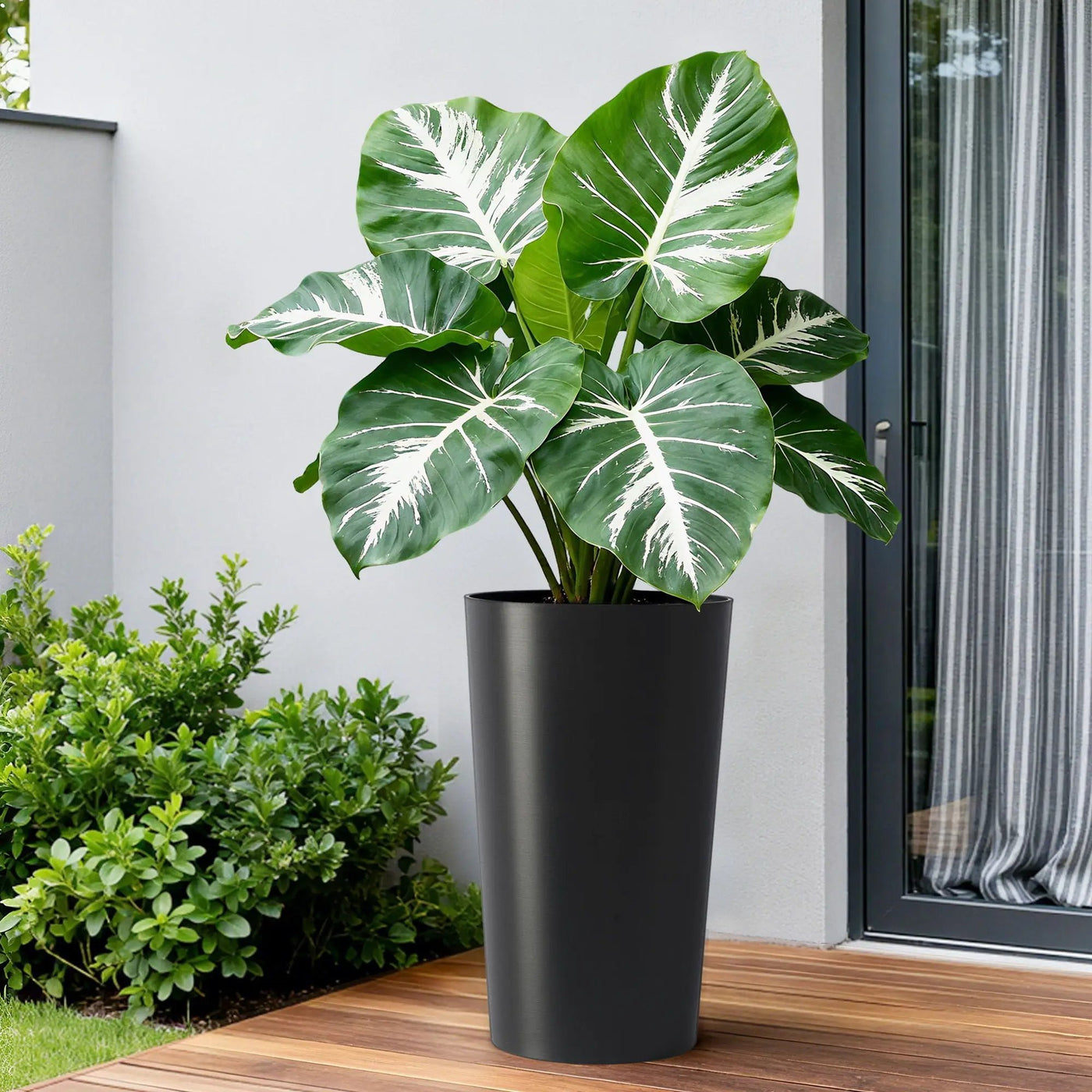 Planter For Outdoor by HouseOfZazla