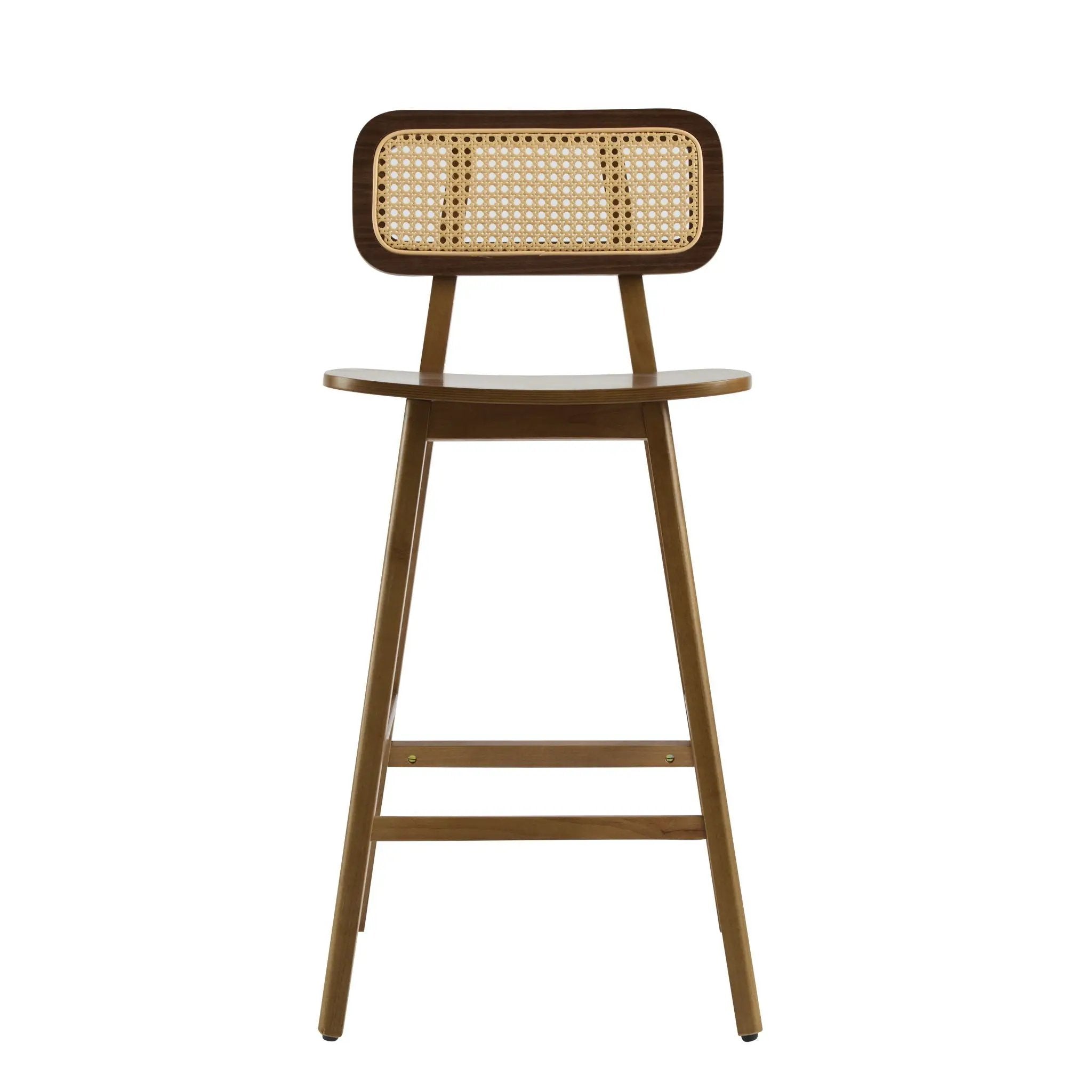 Bari Indoor Wood Barstool (Set of 2) by HouseOfZazla