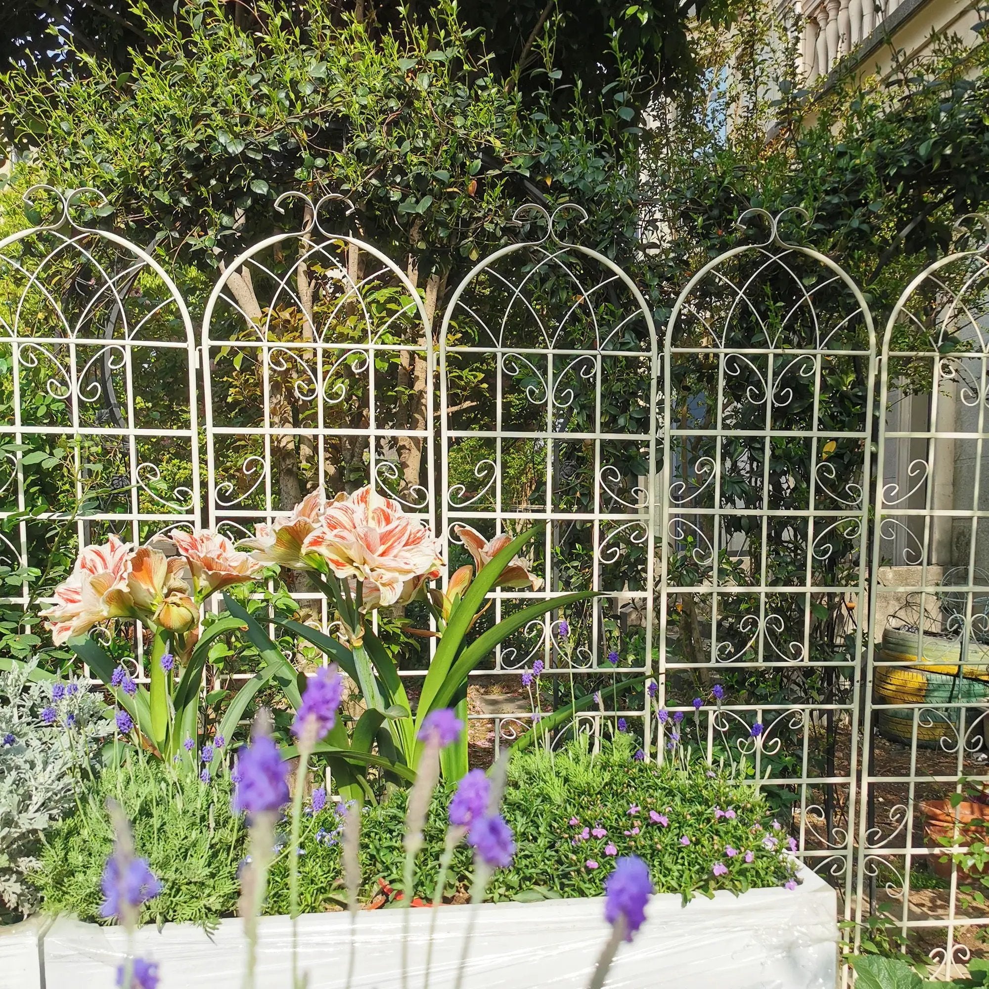 Metal Garden Rustproof Trellis For Climbing Plants Outdoor Flower Support by HouseOfZazla