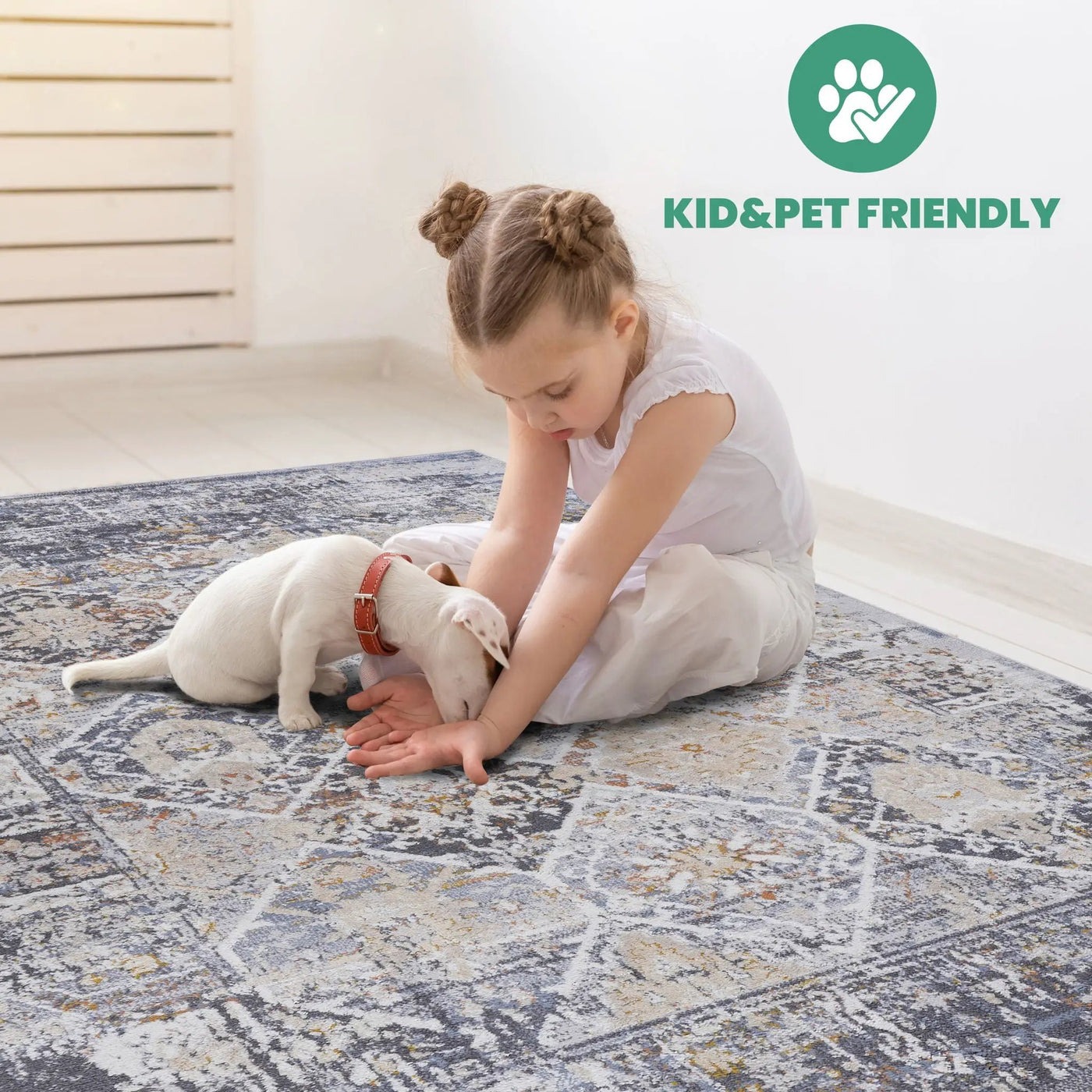 Payas - Traditional Area Rug by HouseOfZazla