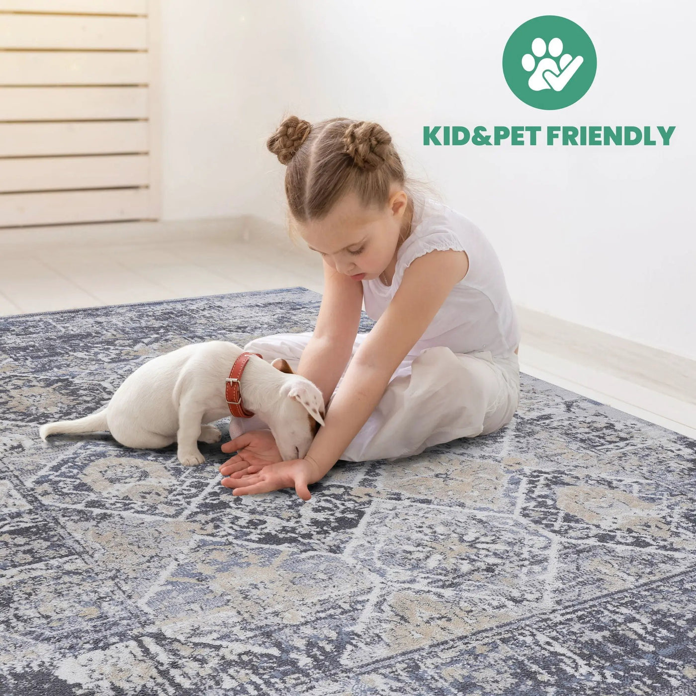 Payas - Traditional Area Rug by HouseOfZazla
