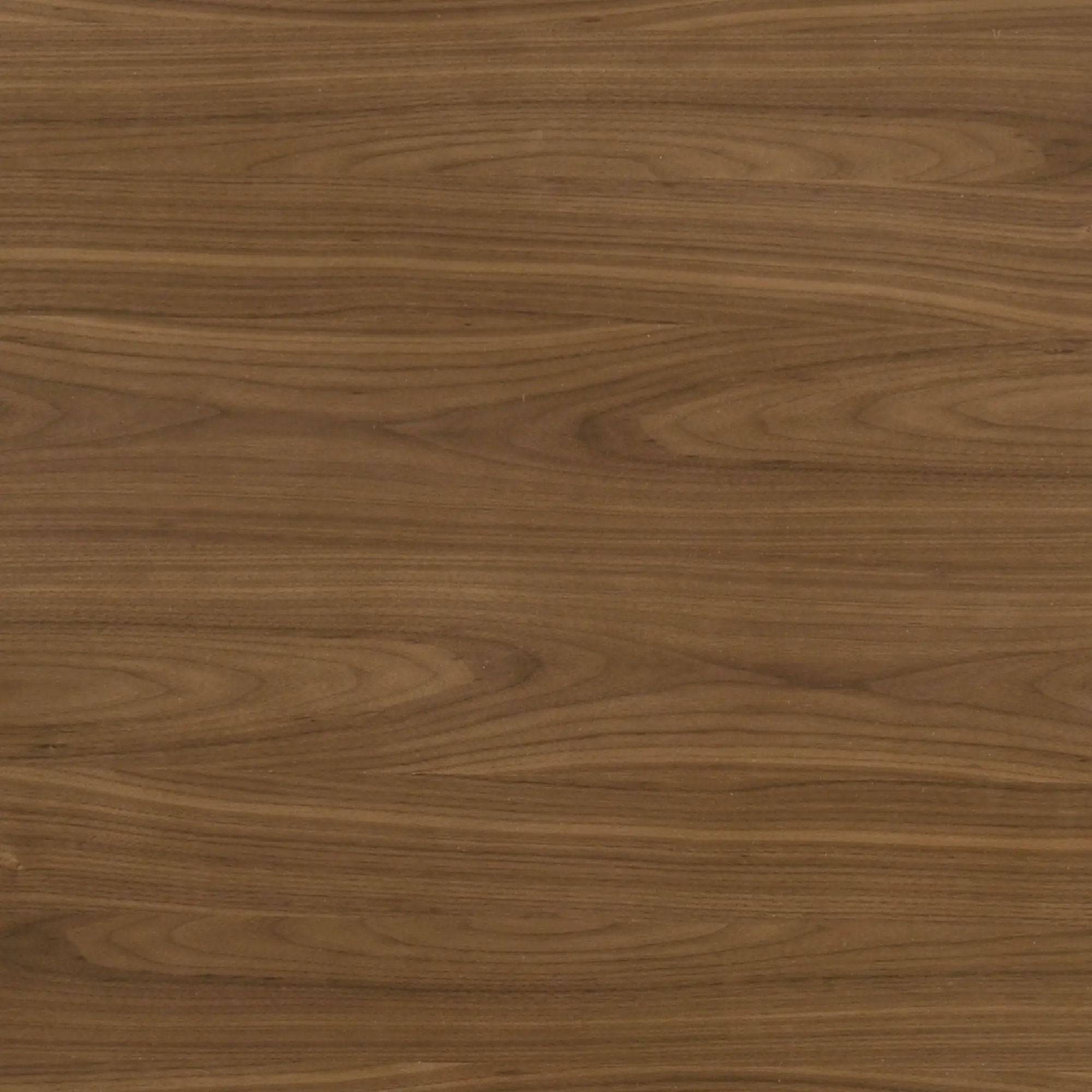 Delmon - Round Dining Table - Dark Walnut by HouseOfZazla