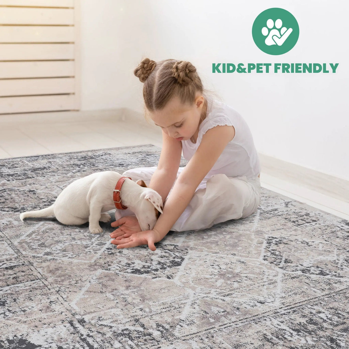 Payas - Traditional Area Rug by HouseOfZazla