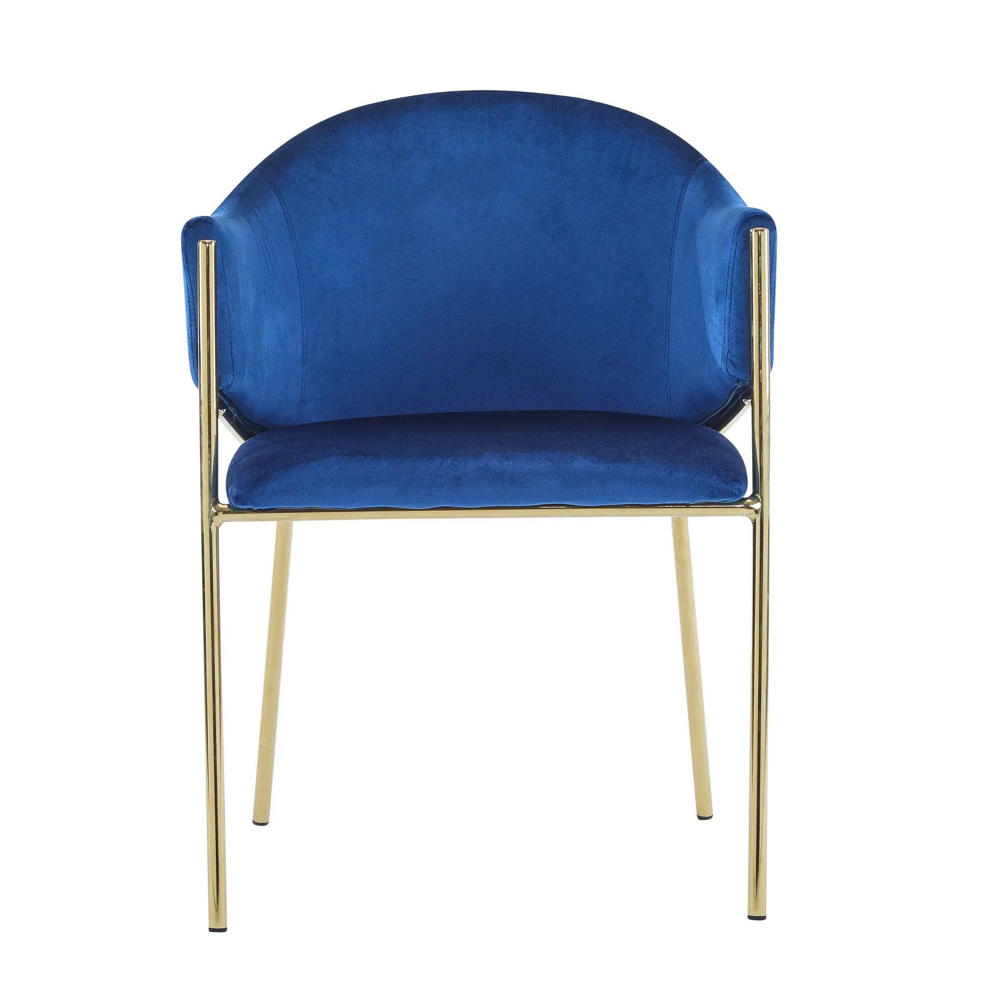 Modern Upholstered Dining Chair With Plush Velvet and Metal Frame by HouseOfZazla