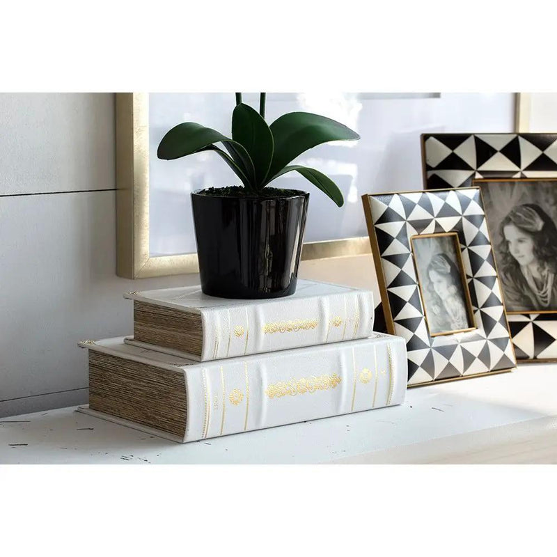 Book Boxes (Set of 2) - White / Gold by HouseOfZazla