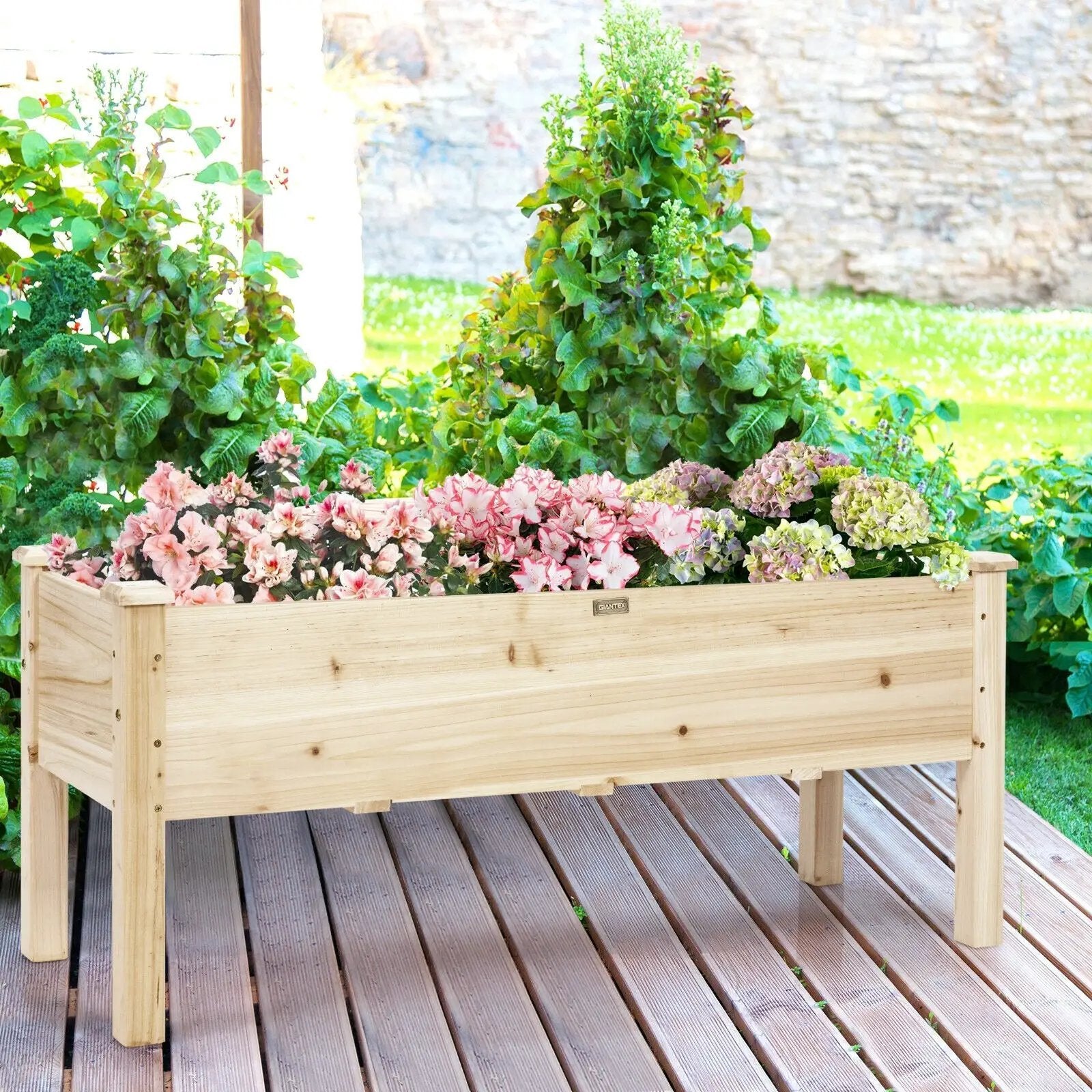 Raised Garden Bed Elevated Planter Box Wood for Vegetable Flower Herb by DirectDeals