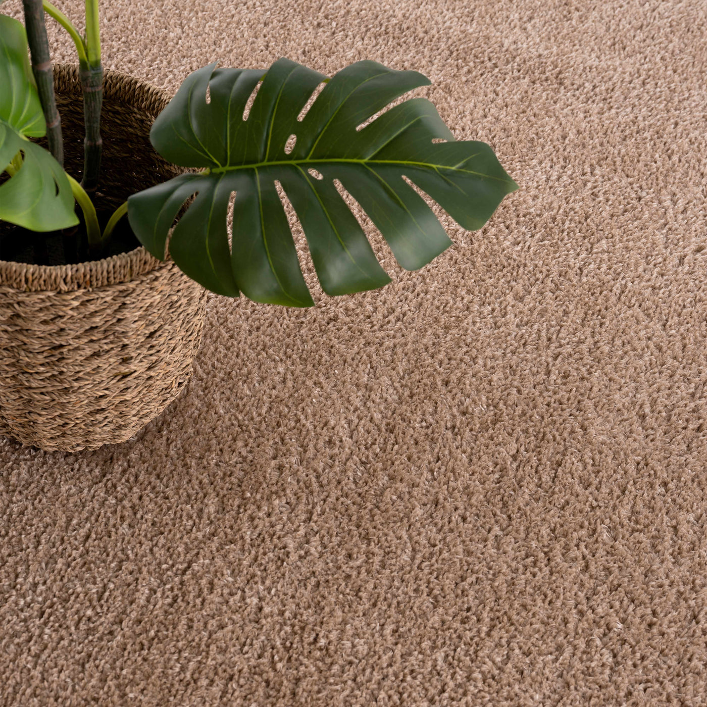 Judy Brown - Promo Washable Area Rug - Clearance by Boutique Rugs