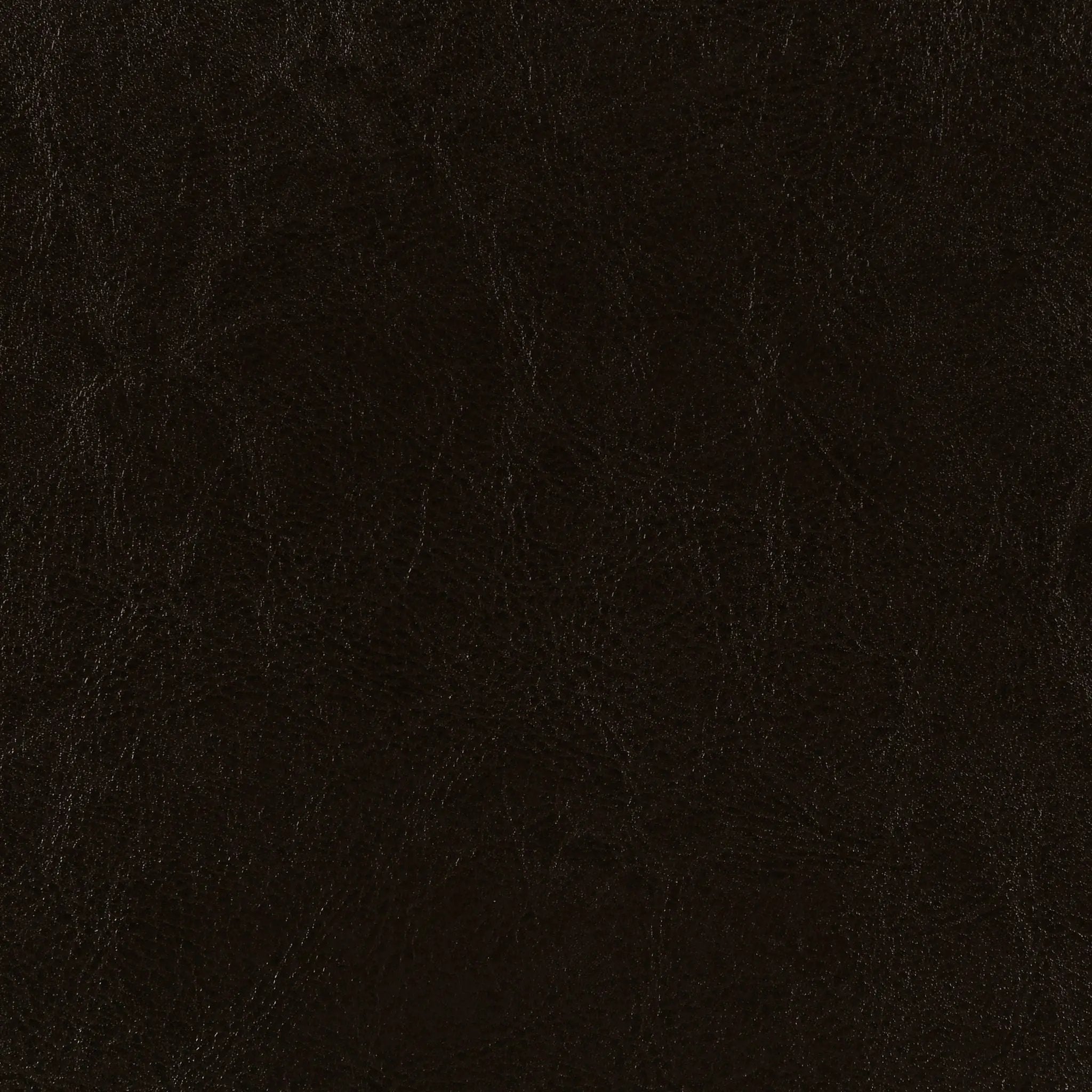 Dorian Faux Leather Upholstered Queen Panel Bed Brown by Unique Piece Furniture