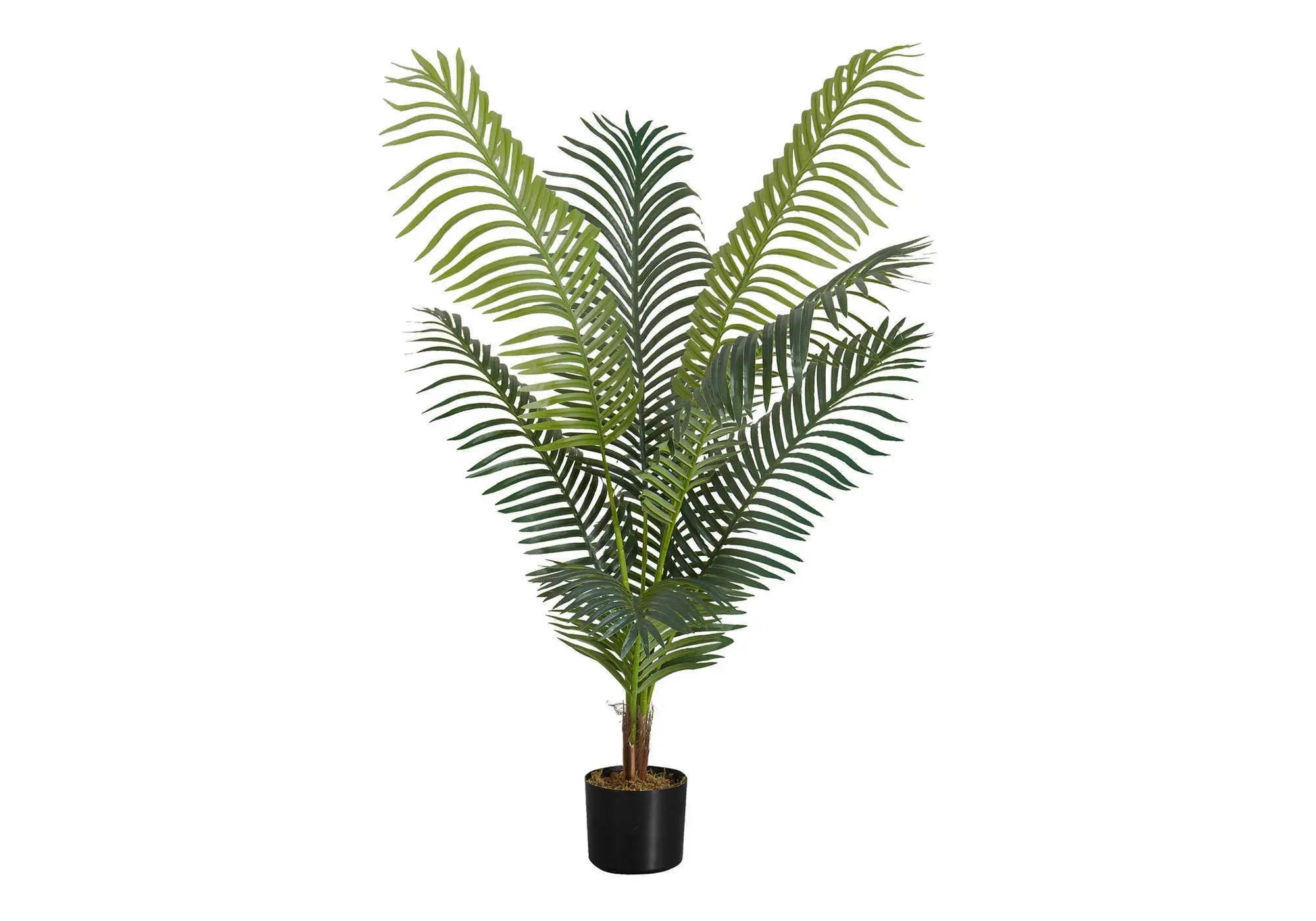 47" Tall, Artificial Plant, Palm Tree, Indoor, Faux, Fake, Floor, Greenery, Potted, Real Touch, Decorative - Green / Black by Unique Piece Furniture