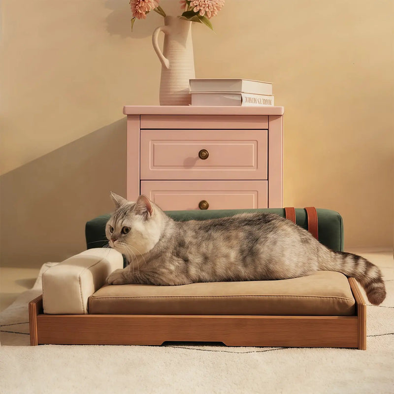 Modern Wooden Pet Bed for Cats and Dogs by HouseOfZazla