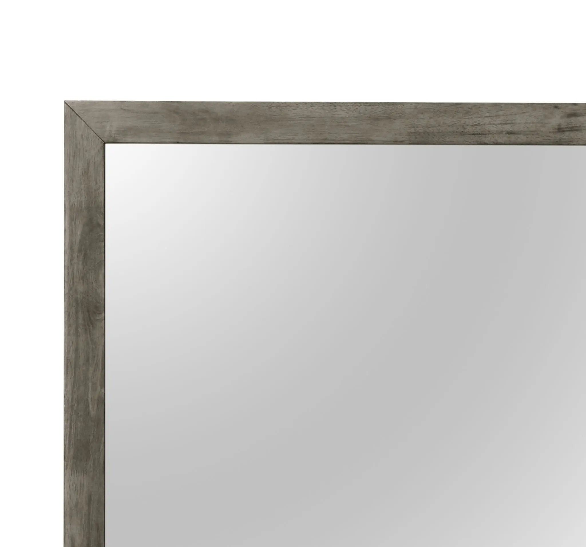 Modern Design Transitional Wall Mirror by HouseOfZazla