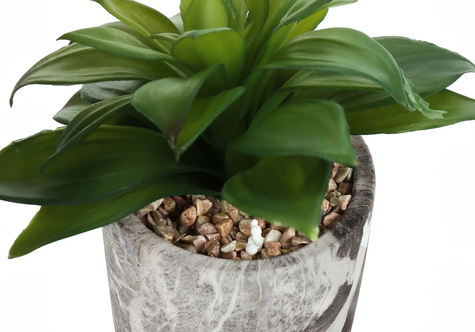 6" Tall Artificial Succulent Plants, Set of 2 by HouseOfZazla